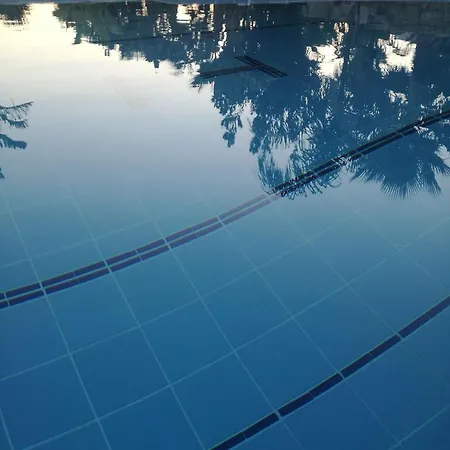 Delle Palme Delfina