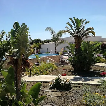 Hotel Delle Palme Delfina 3*